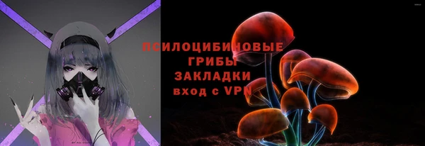 спайс Пересвет