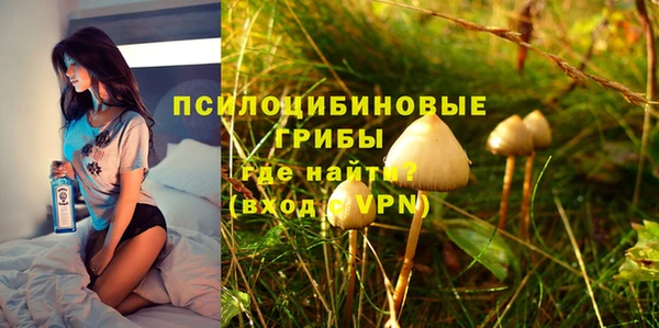 бошки Алексеевка