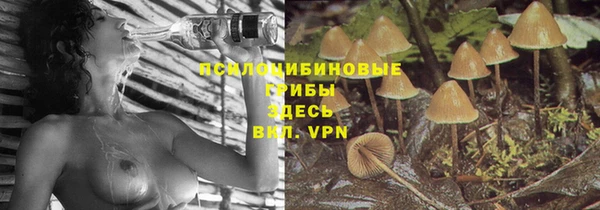 прущие крисы Алзамай