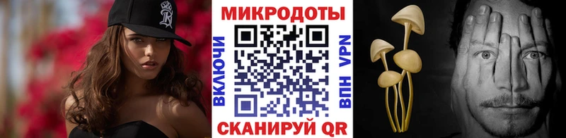 Купить где  Вяземский  Галлюциногенные грибы Cubensis 